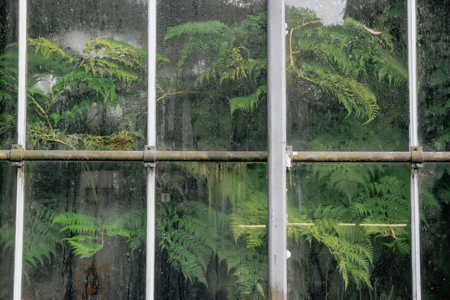 Sprühflasche mit Hausmittel für die Fensterreinigung