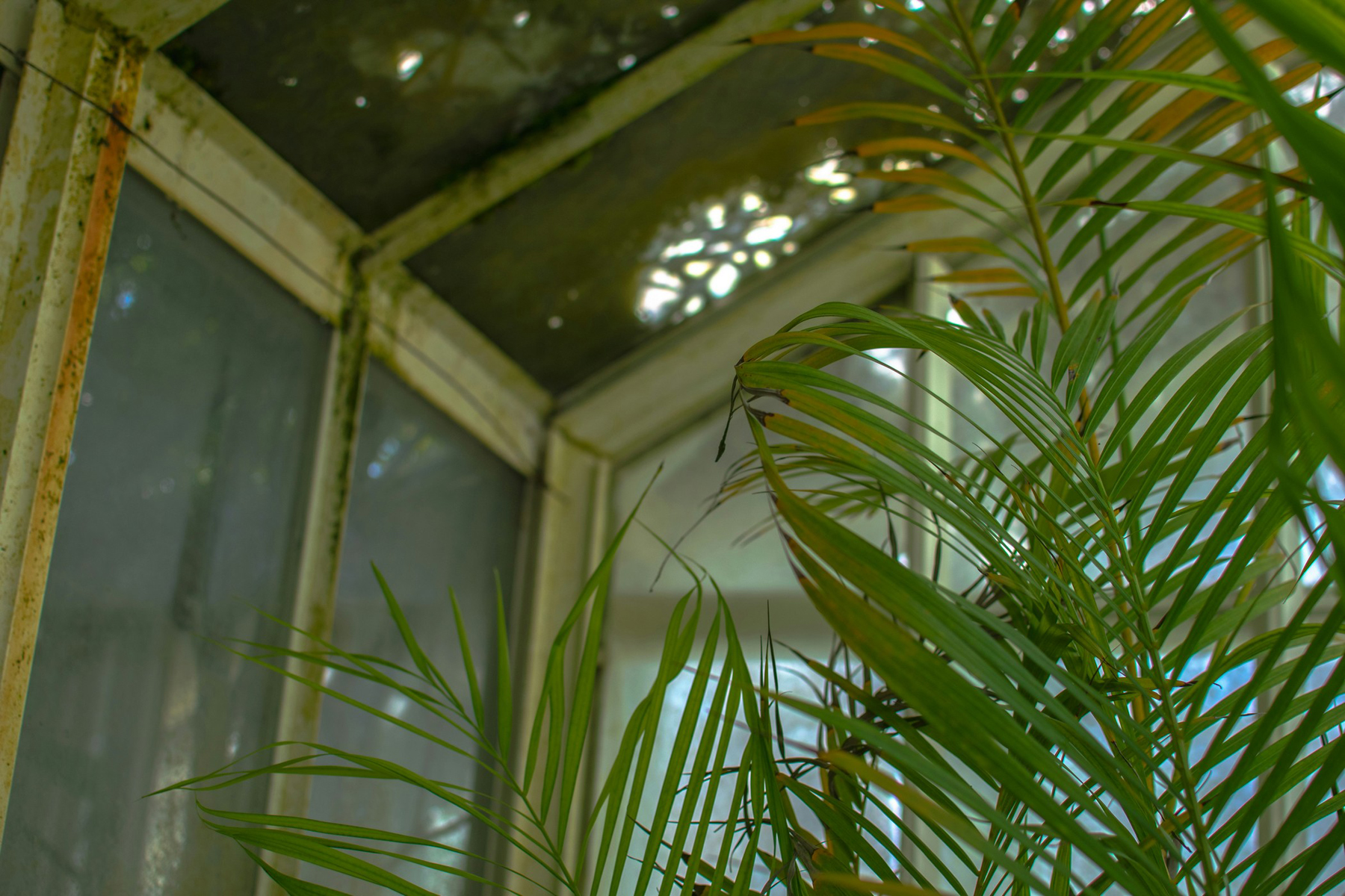 Verschmierte Fensterscheibe nach der Reinigung