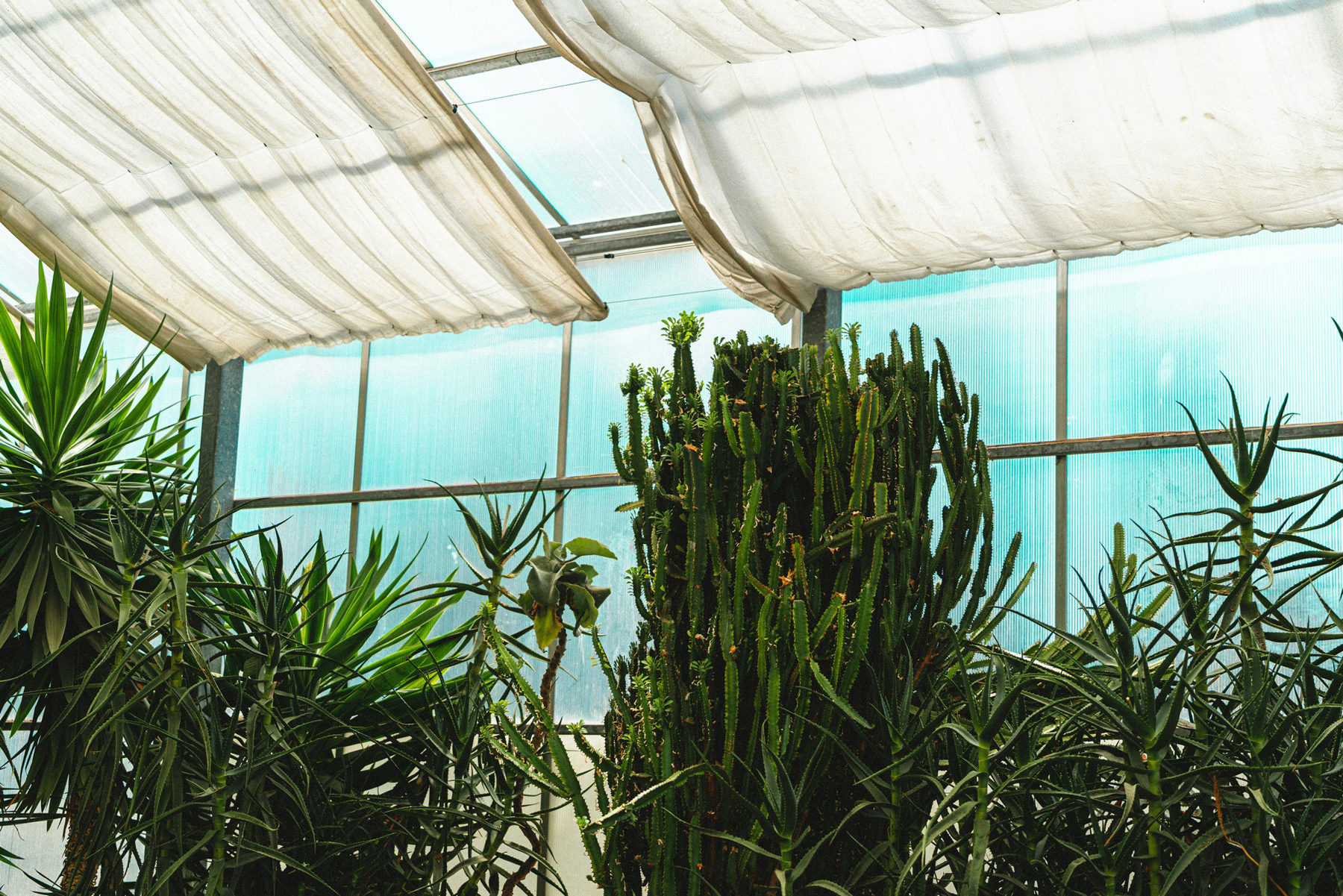 Heller Wintergarten mit frisch geputzten Scheiben